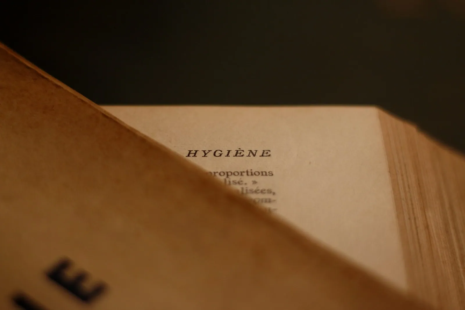 Die Bedeutung von Hygiene in der Schönheitspflege in Paderborn