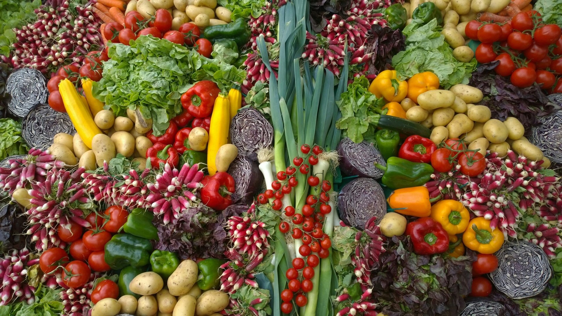 Die Vorteile pflanzlicher Ernährung in Paderborn