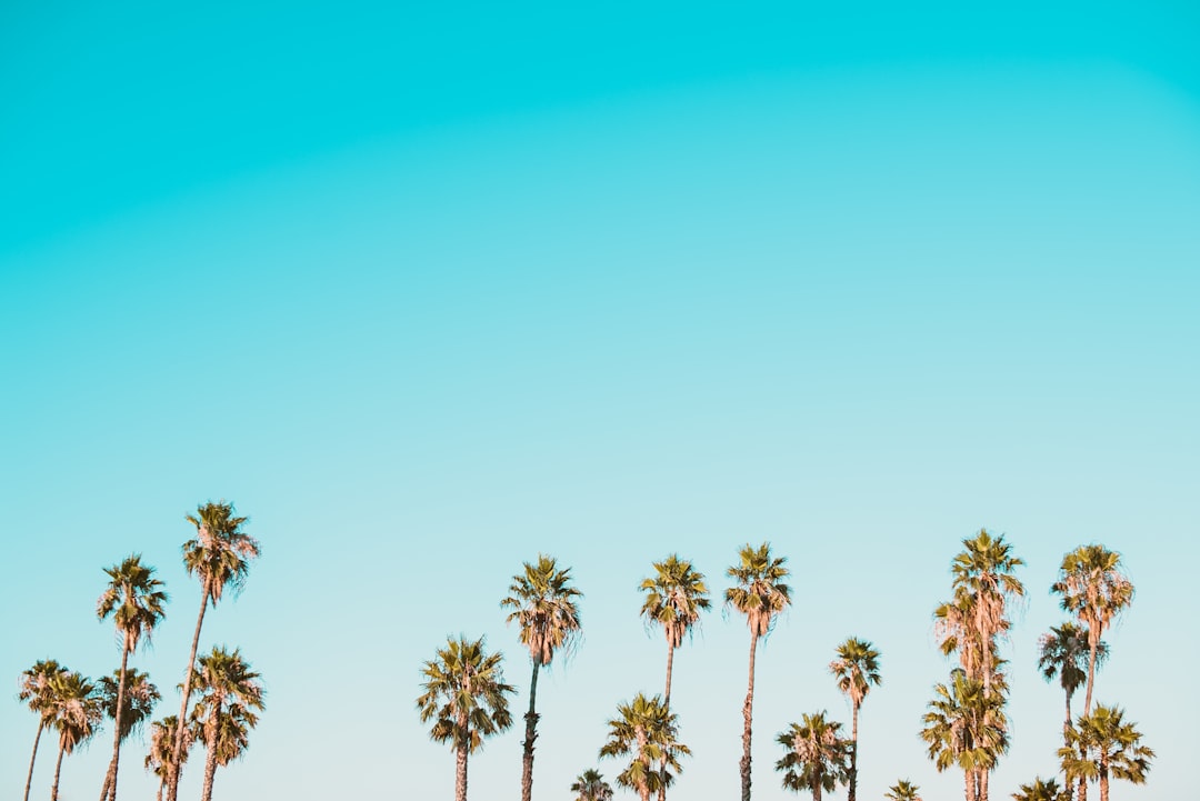 Persönliche Entwicklungskurse in Paderborn: Die beste Investition in sich selbst