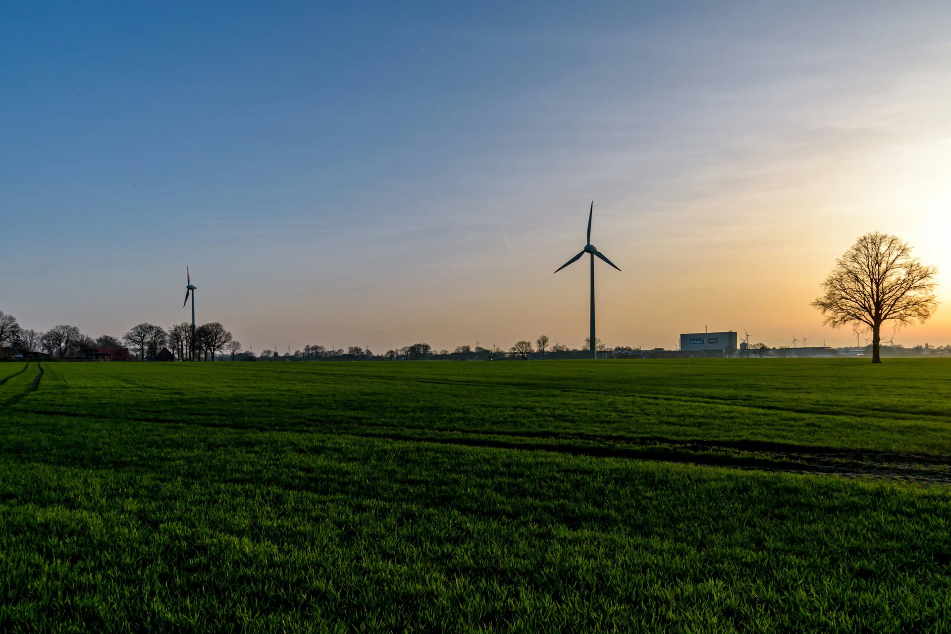 Umweltfreundliche Energieoptionen für Unternehmen in Paderborn